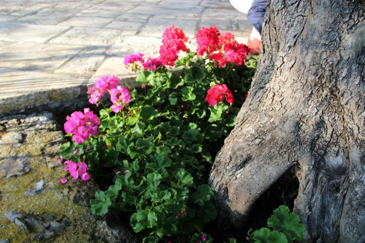 Stone Rose Villa Ágios Ioánnis Buitenkant foto