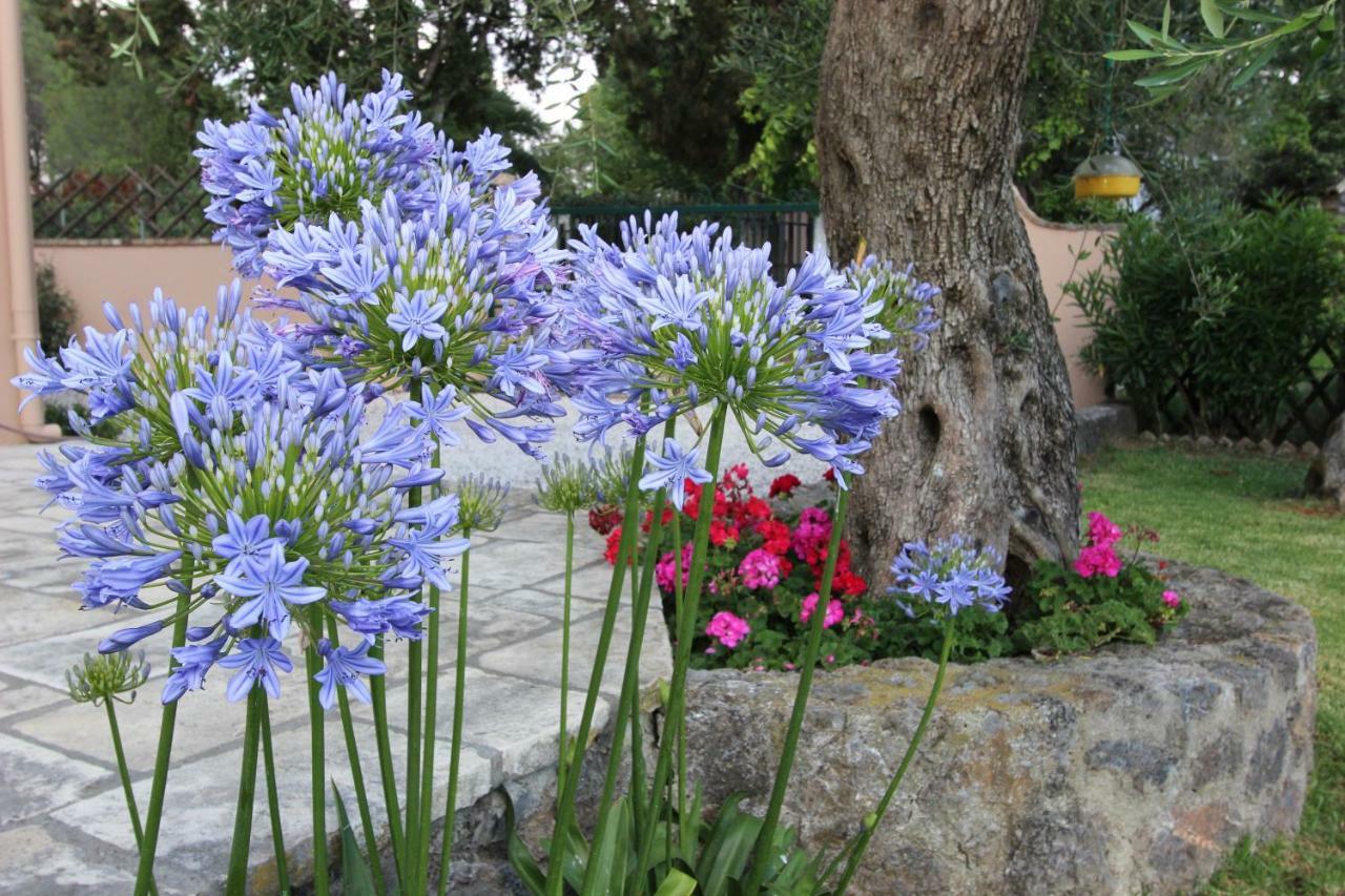 Stone Rose Villa Ágios Ioánnis Buitenkant foto